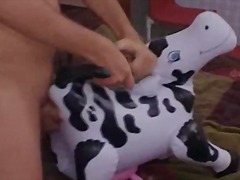 Dude has sex with a blow up cow